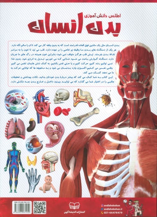 اطلس دانش آموزی بدن انسان (گلاسه)