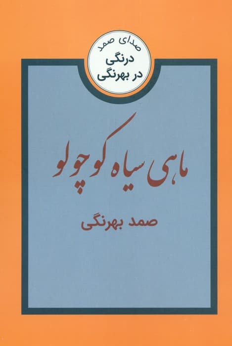 ماهی سیاه کوچولو و سه داستان دیگر (درنگی در بهرنگی)