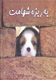 یه ریزه شهامت