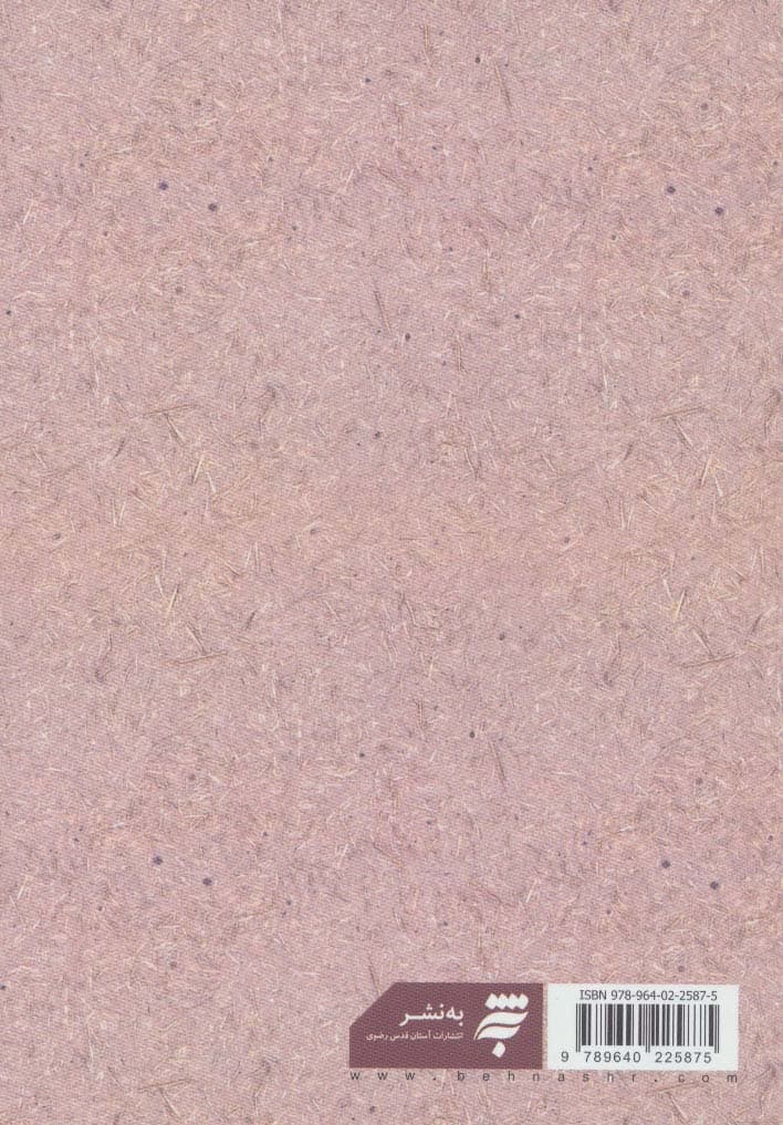 زندگی پرافتخار جابر بن عبدالله انصاری (پاس دار حکومت صالحان)