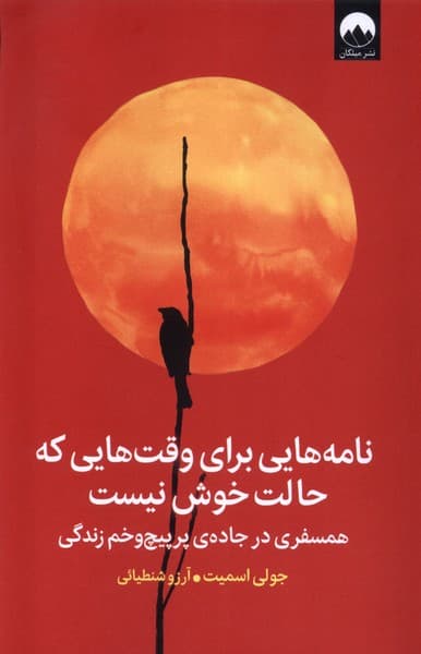 نامه هایی برای وقت هایی که حالت خوش نیست (همسفری در جاده پرپیچ وخم زندگی)