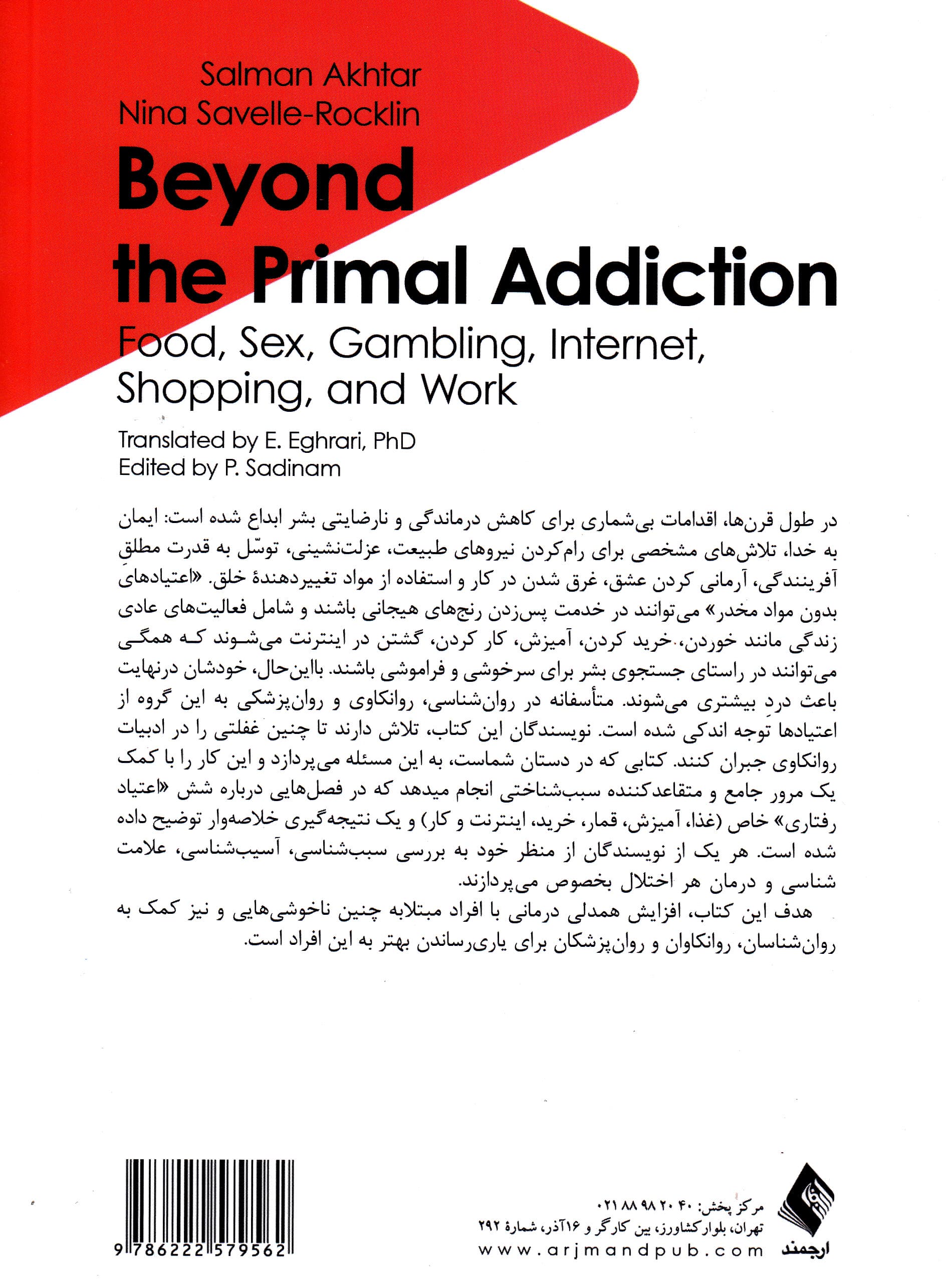 آنسوی اعتیاد اولیه (غذا اینترنت قمار آمیزش خرید و کار)