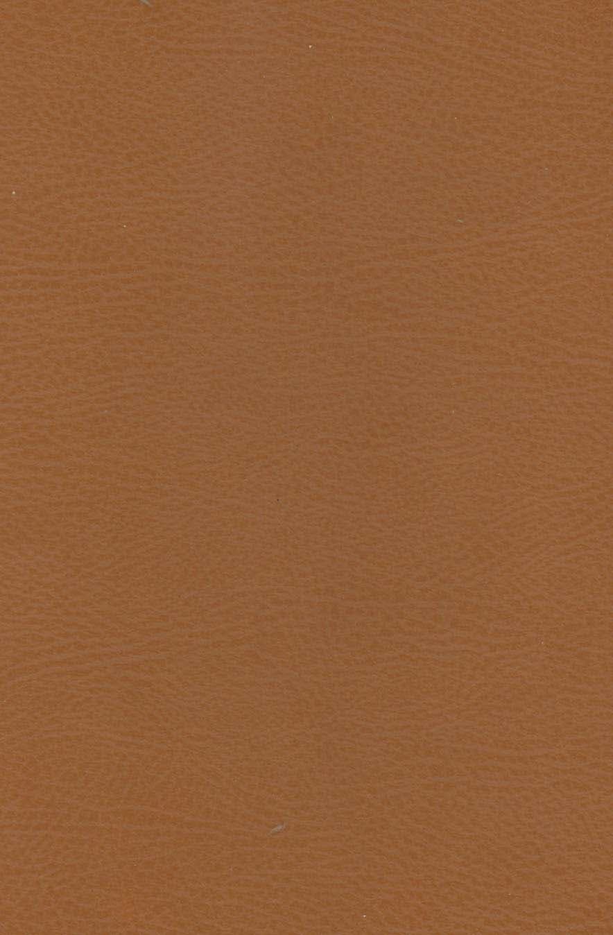 و کوهها طنین انداز شدند (چرم،لب طلایی)