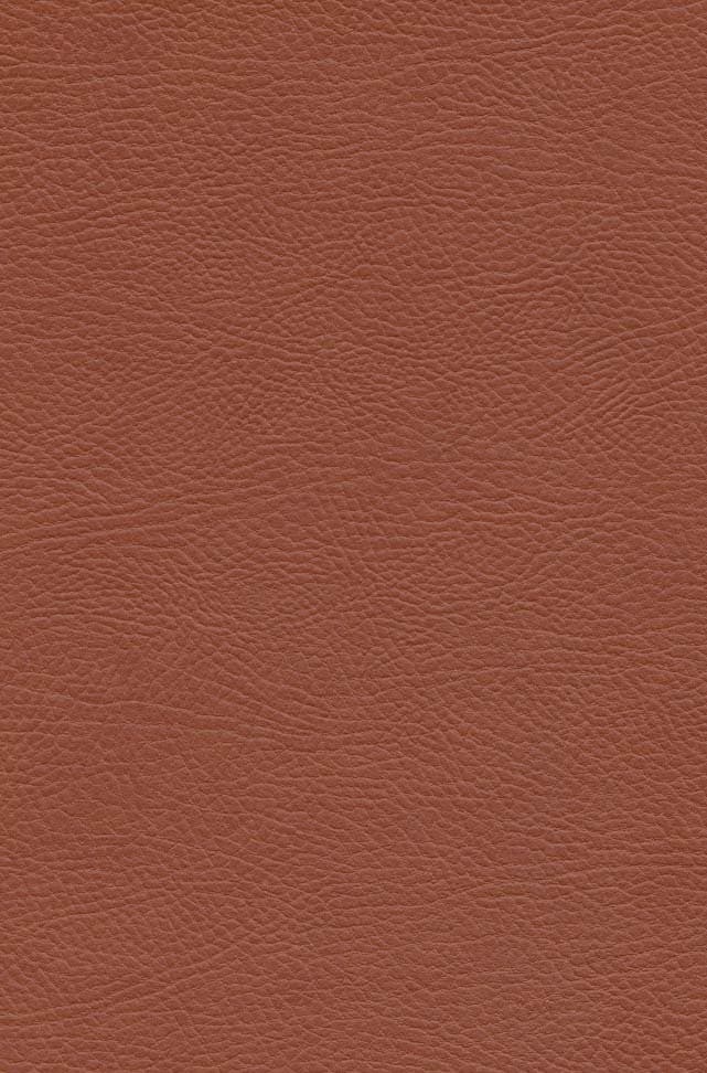 اودیسه (چرم،لب طلایی)