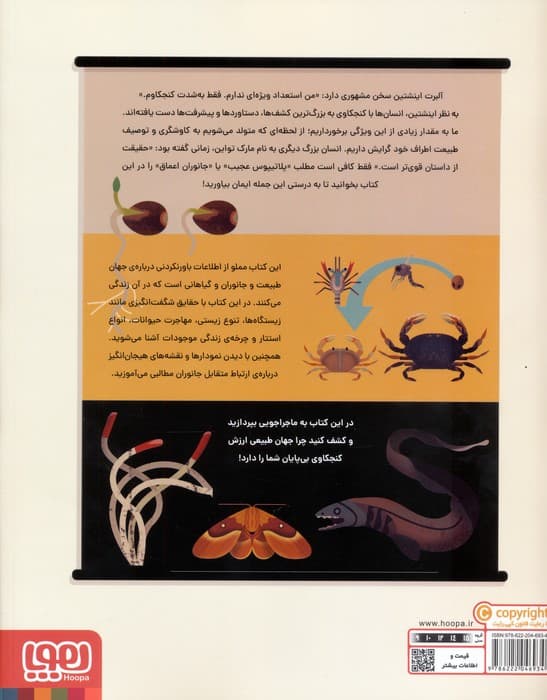 جهان طبیعت و یک کنجکاوی بی پایان