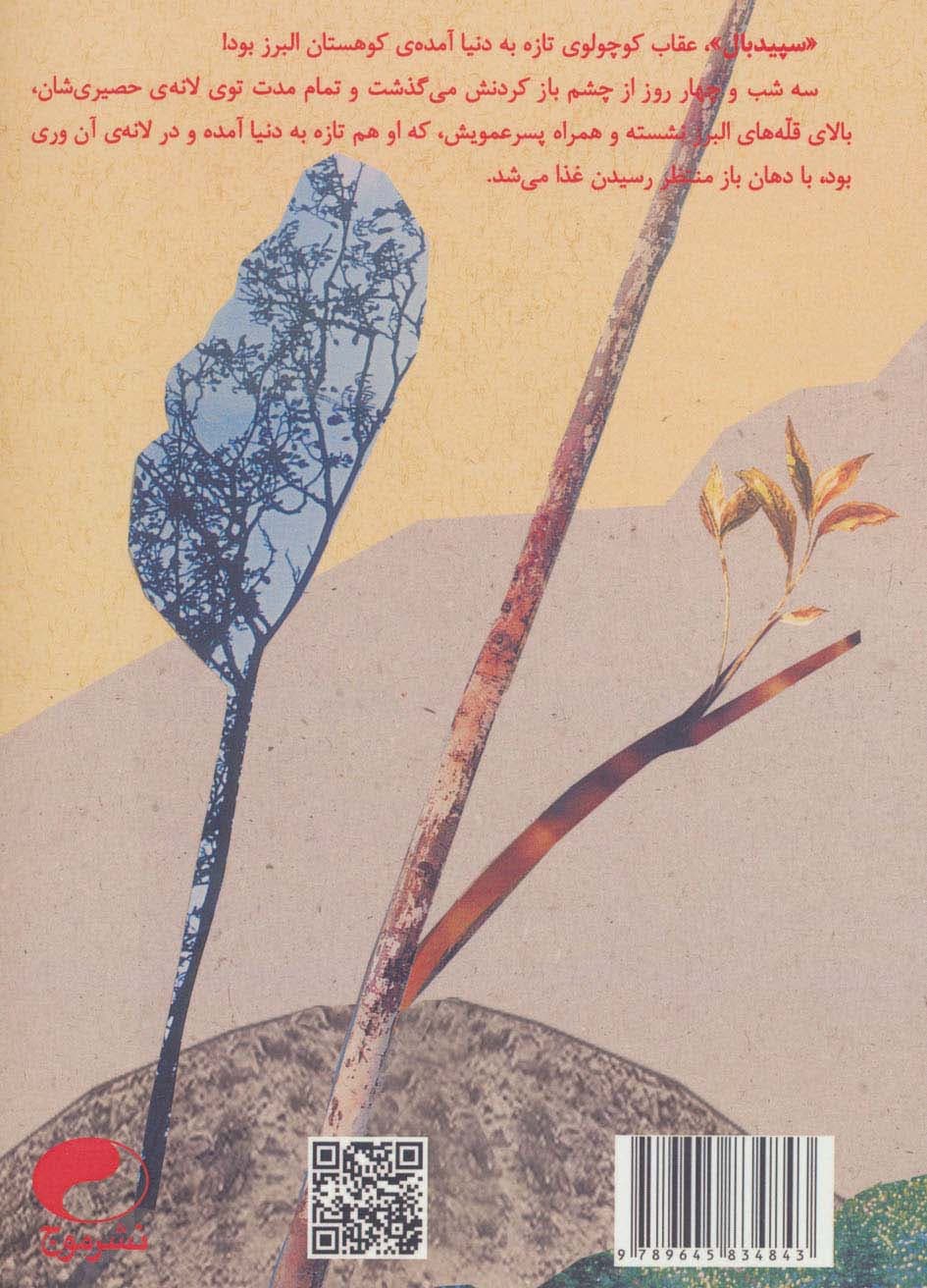 سپید بال (داستانی درباره خواستن)