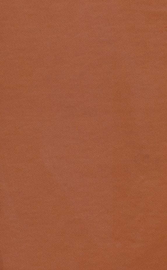 دیوان حافظ آسان خوان (ترمو)