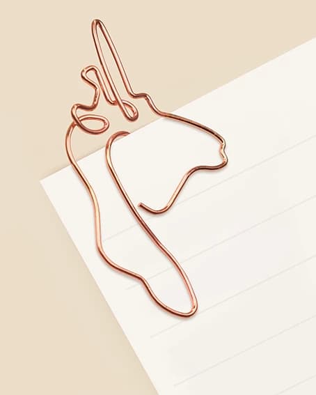 گیره کاغذ پین پر 1024