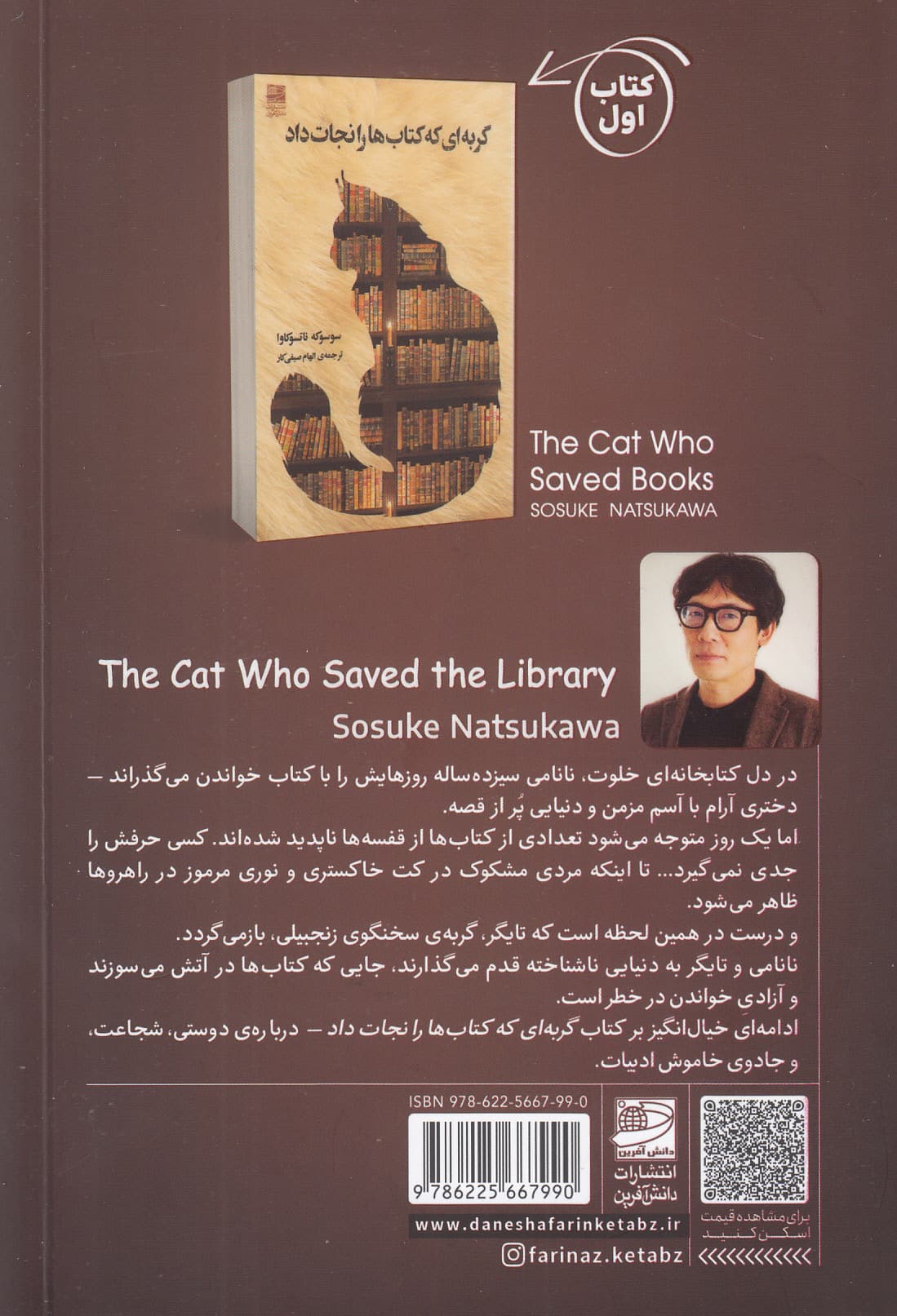 گربهای که کتابخانه را نجات داد