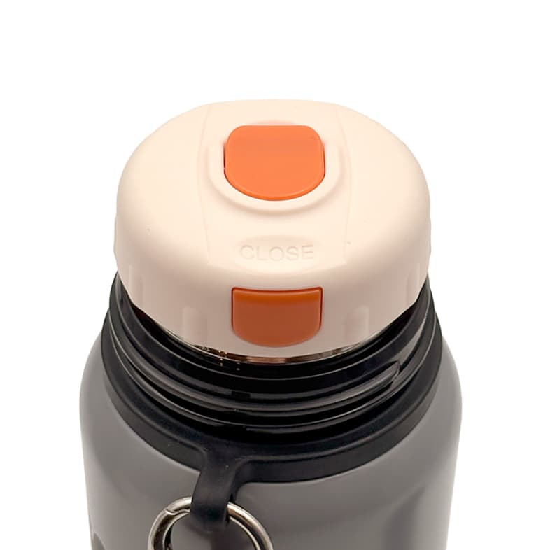 فلاسک لیواندار 500 میل کد 362