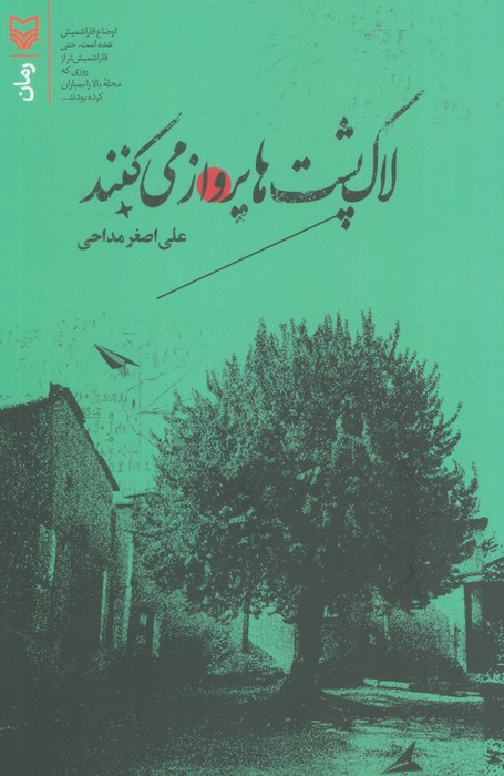 لاک پشت ها پرواز می کنند