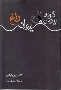 گربه روی شیروانی داغ (نمایشنامه)