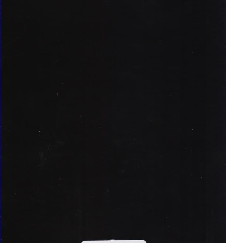 جنس ضعیف (گزارشی از وضعیت زنان جهان)