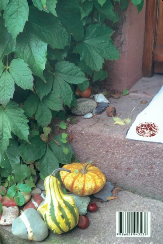 دوست داشتم کسی جایی منتظرم باشد (مجموعه داستان)