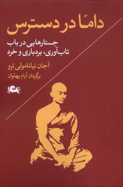 داما در دسترس (جستارهایی در باب تابآوری بردباری و خرد)