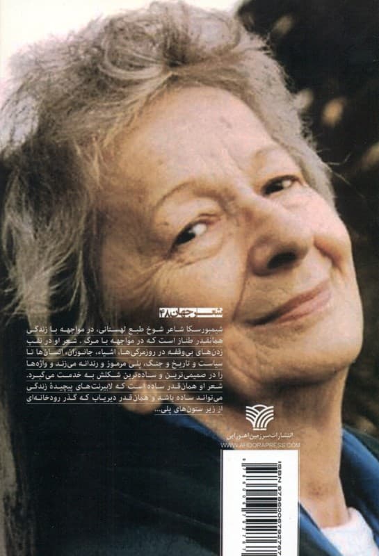 همینقدر کافی است (مجموعه شعر)