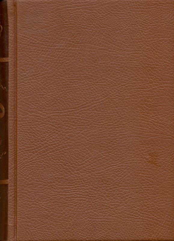 دزیره (چرمی)