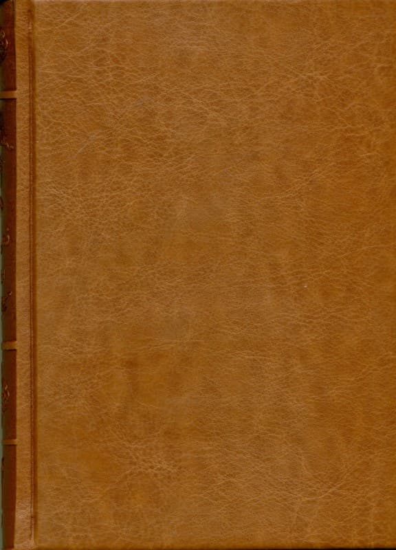 عشق هرگز نمیمیرد (بلندیهای بادگیر) چرمی