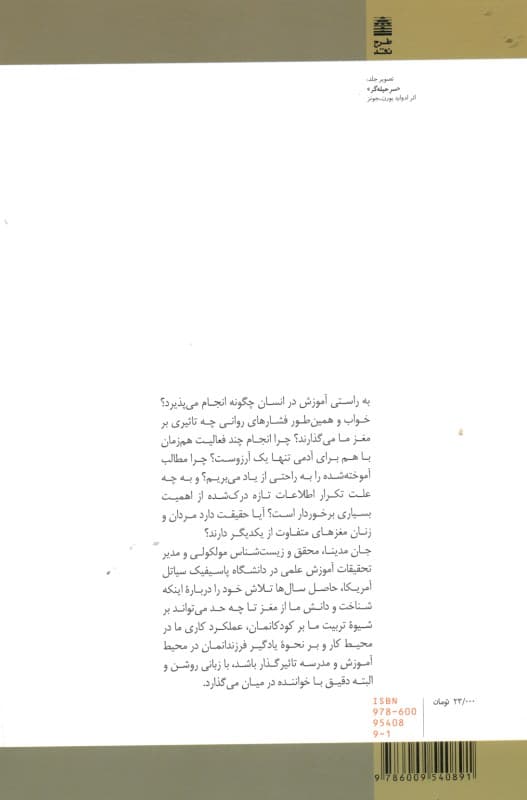 قوانین مغز برای بقا و موفقیت در محیط خانه کار و تحصیل