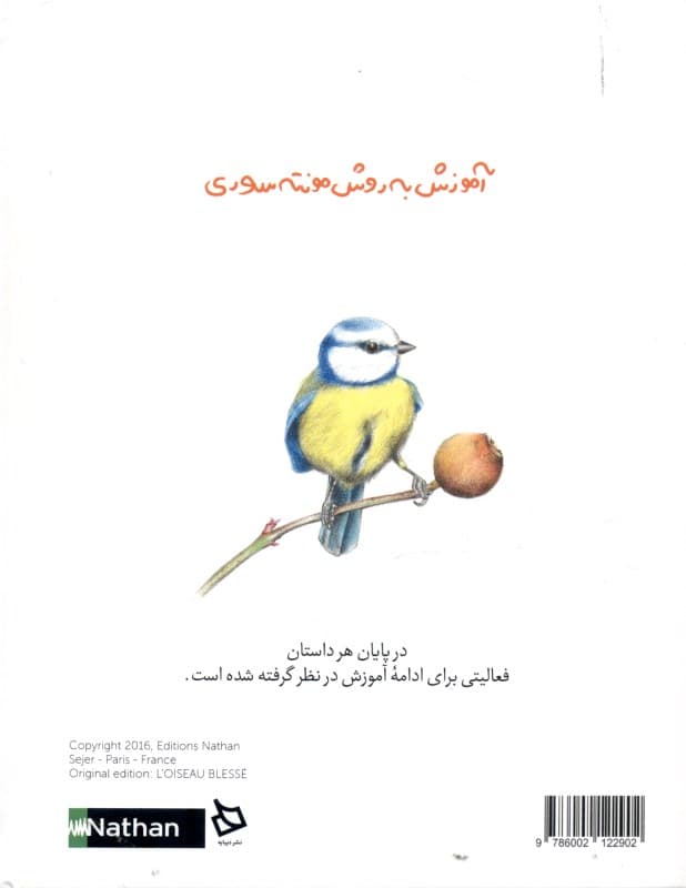 پرنده مجروح (آموزش به روش مونته سوری)