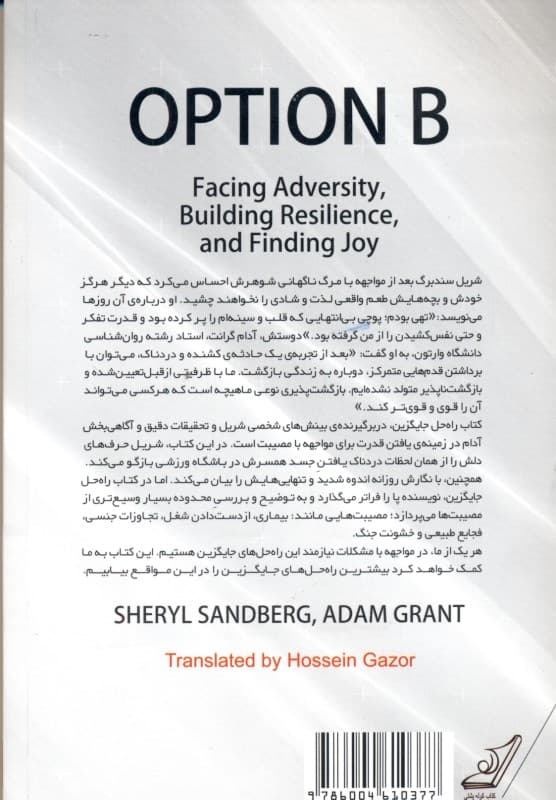 راهحل جایگزین (رویارویی با مشکل بازیابی خویشتن و یافتن شادی)