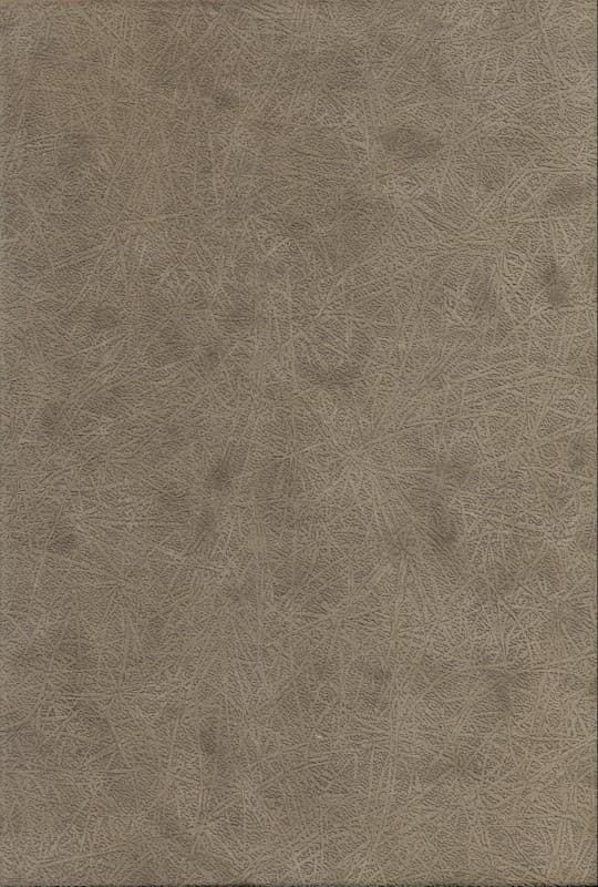 8 کتاب (مرگ رنگ)