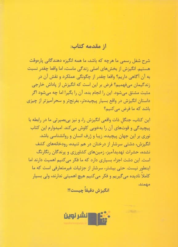 انگیزش (منطق پنهانی که انگیزههای ما را شکل میدهد)