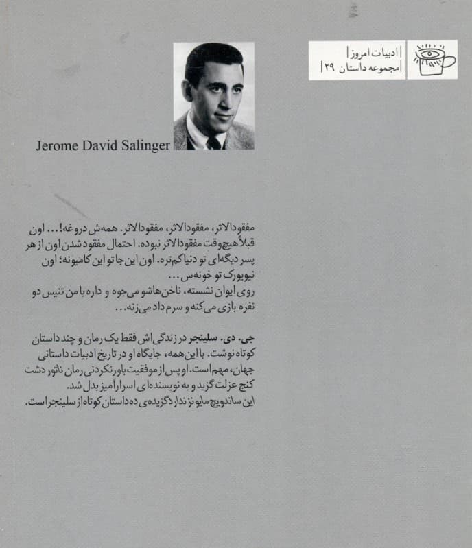 این ساندویچ مایونز ندارد (مجموعه داستان) شومیز