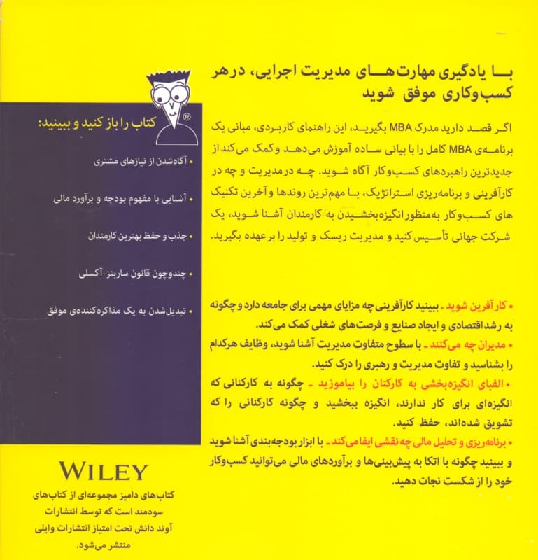 مدیریت اجرایی ام بی ای برای دامیز