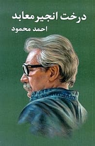 درخت انجیر معابد 1 (2 جلدی) شومیز