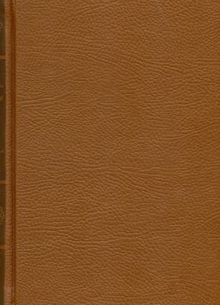 سوءتفاهم و بیگانه (چرم) نمایشنامه و رمان