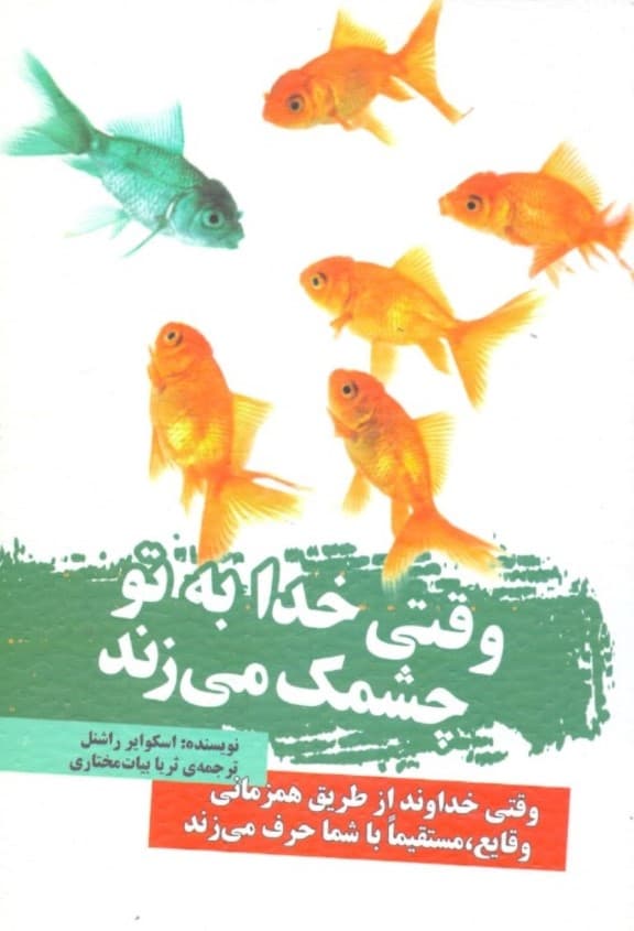 وقتی خدا به تو چشمک میزند (چگونه خداوند از طریق همزمانی وقایع مستقیما با شما حرف میزند)