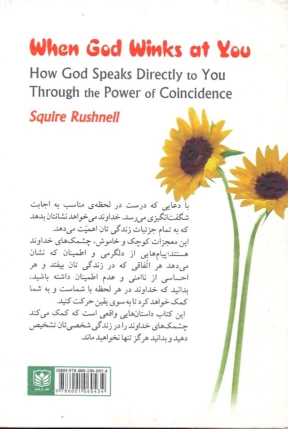 وقتی خدا به تو چشمک میزند (چگونه خداوند از طریق همزمانی وقایع مستقیما با شما حرف میزند)