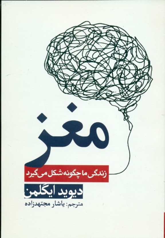 مغز (زندگی ما چگونه شکل میگیرد)