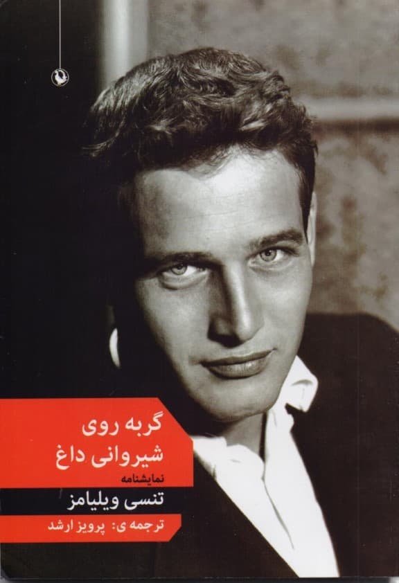 گربه روی شیروانی داغ (نمایشنامه)