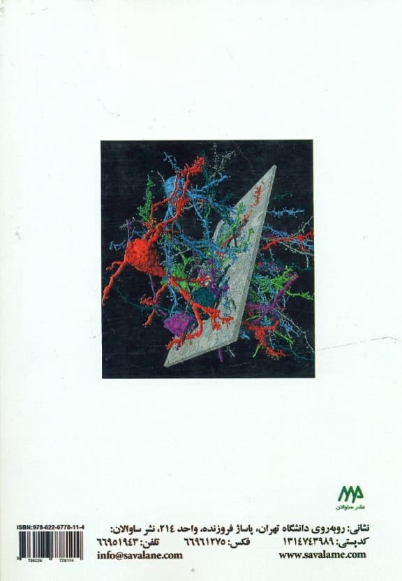 مواد و داروها مغز و رفتار (جلد2)