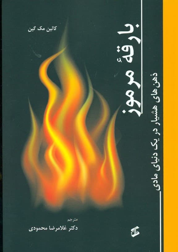 بارقه مرموز (ذهنهای هشیار در یک دنیای مادی)