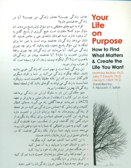 زندگی ارزش زیستن دارد (چگونه آنچه مهم است را بیابید و زندگی را آنگونه که میخواهید بسازید)