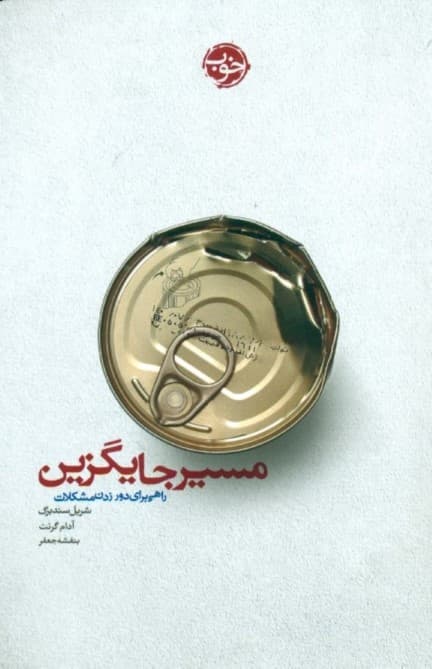 مسیر جایگزین (راهی برای دور زدن مشکلات)