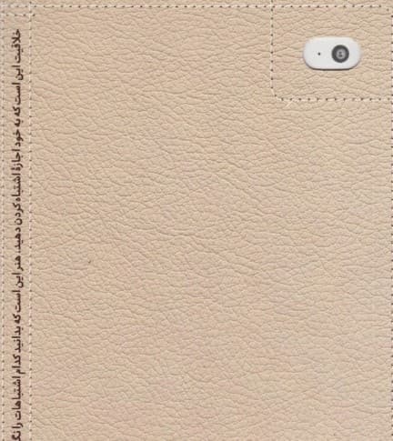 نوآفرینی (افراد ناهمرنگ چگونه جهان را به جنبش در میآورند)