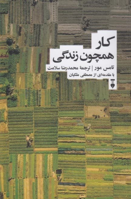 کار همچون زندگی (چگونه میتوانید کاری را که برای  آن زاده شدهاید کشف کنید و به رضایت خاطر برسید)