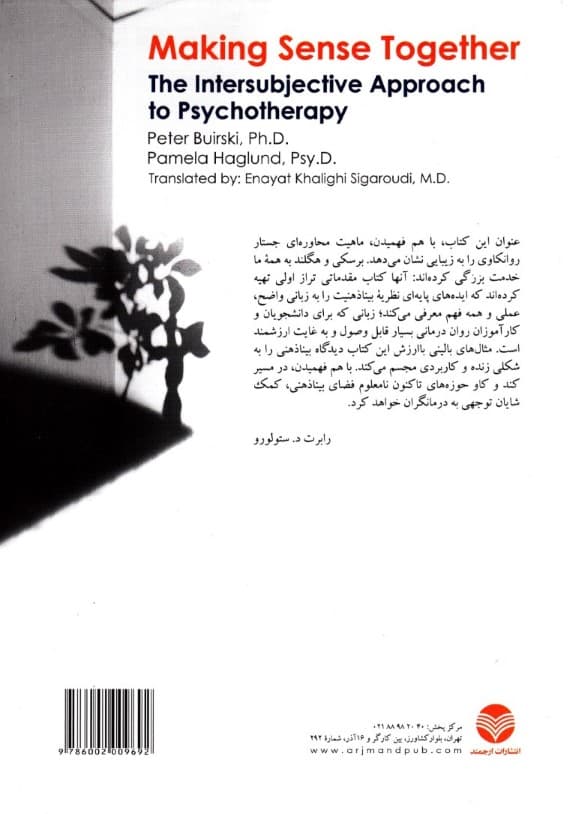 با هم فهمیدن (رهیافت بیناذهنی در رواندرمانی)