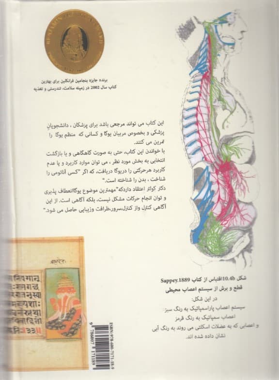 آناتومی هاتا یوگا