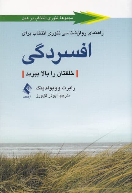 راهنمای روانشناسی تئوری انتخاب برای افسردگی (خلقتان را بالا ببرید)