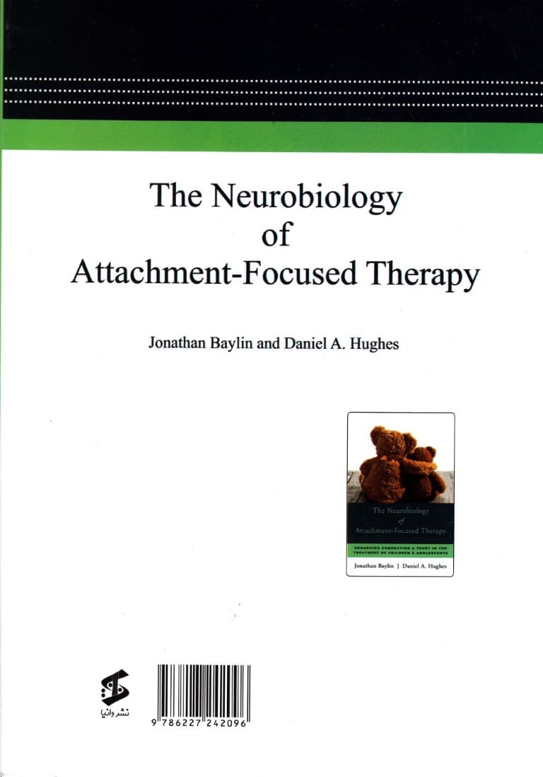 مغز (دلبستگی و روان درمانی)