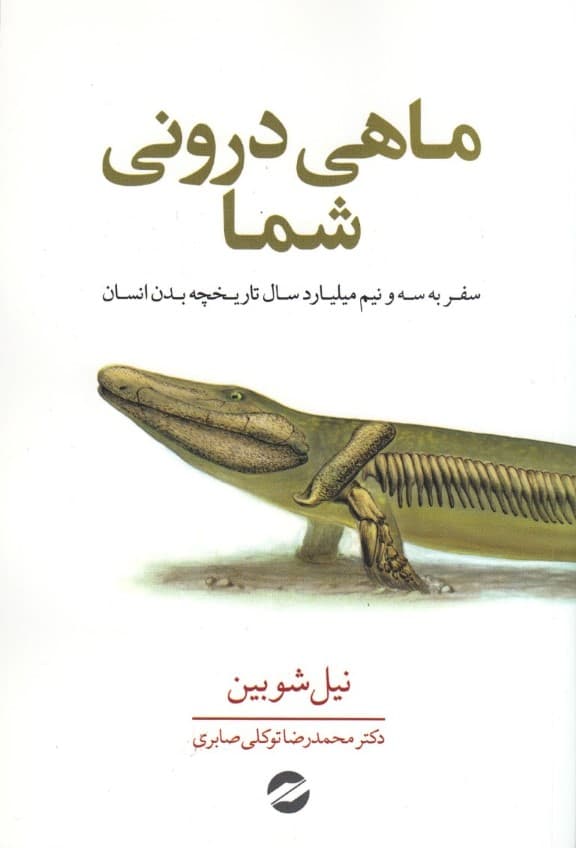 ماهی درونی شما (سفر به 3 و نیم میلیارد سال تاریخچه بدن انسان)