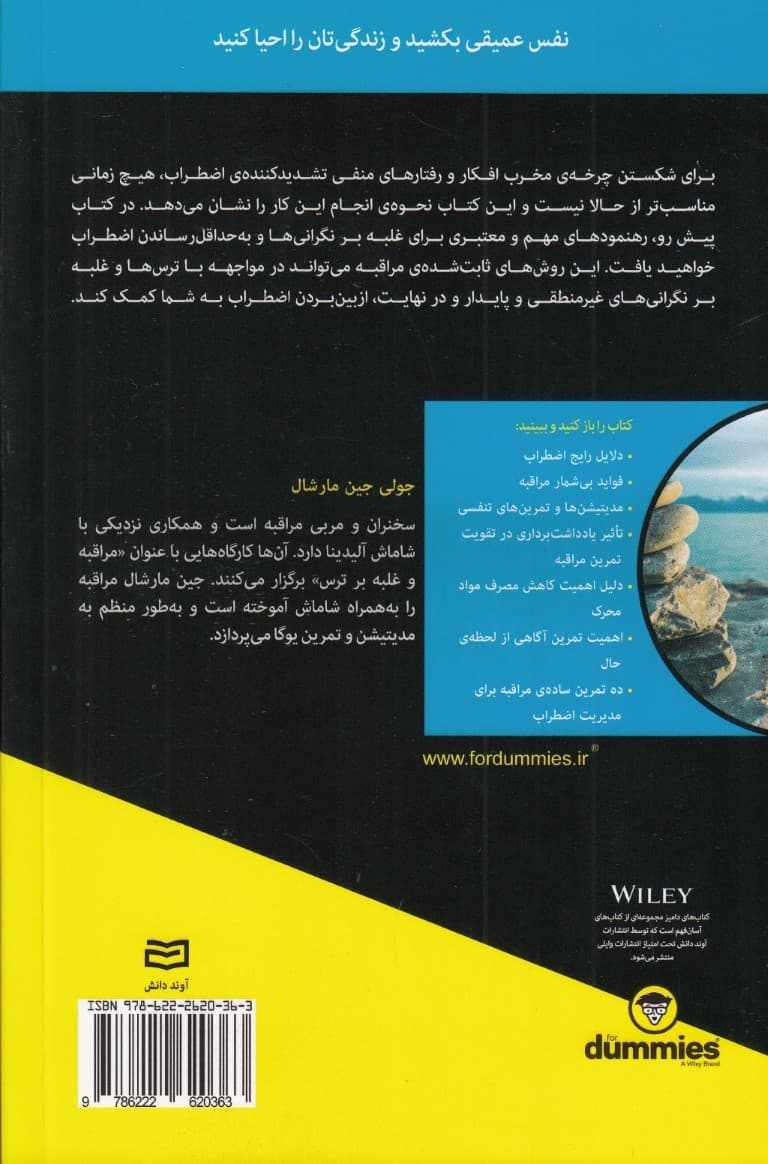 مدیریت اضطراب با مراقبه برای دامیز