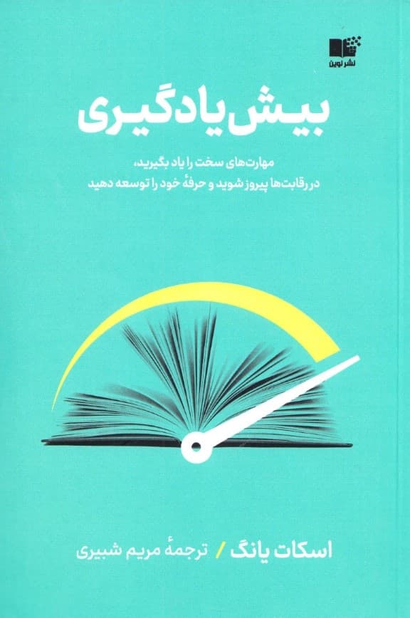 بیشیادگیری