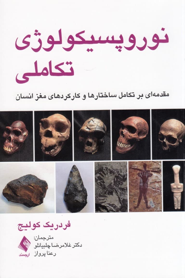 نوروپسیکولوژی تکاملی (مقدمهای بر تکامل ساختارها و کارکردهای مغز انسان)