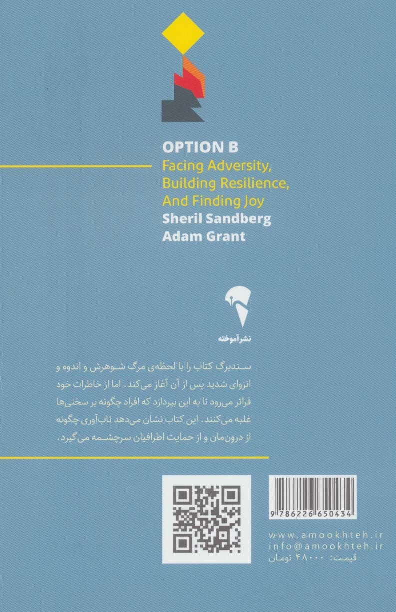 گزینه دوم (رویارویی با مشقت ایجاد تاب آوری و یافتن شادی)